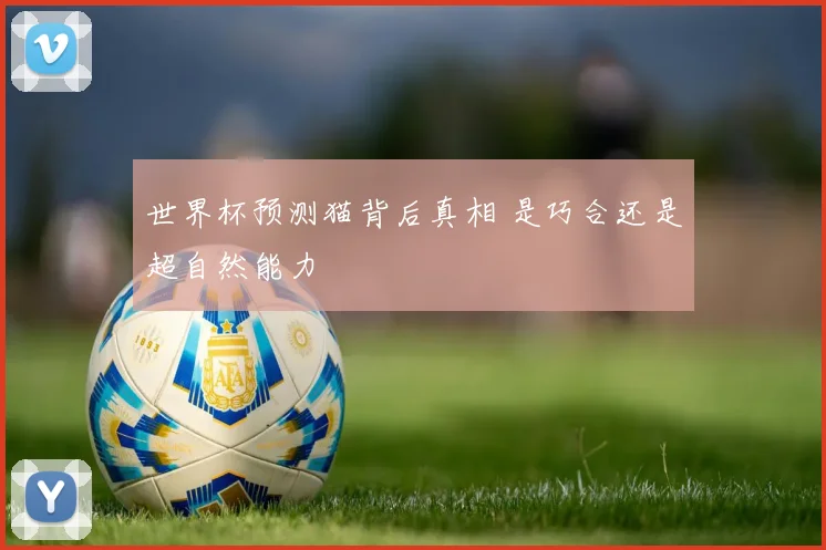 世界杯预测猫背后真相 是巧合还是超自然能力