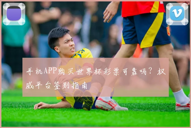 手机APP购买世界杯彩票可靠吗？权威平台鉴别指南