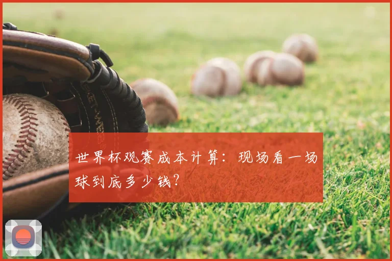 世界杯观赛成本计算:现场看一场球到底多少钱?