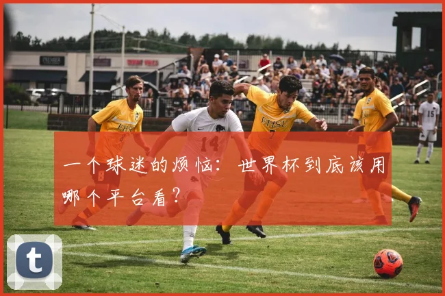 一个球迷的烦恼:世界杯到底该用哪个平台看?