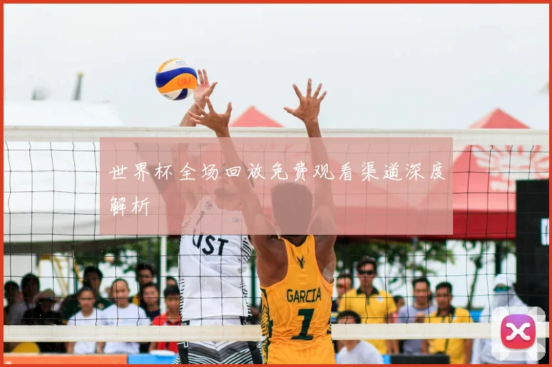 世界杯全场回放免费观看渠道深度解析