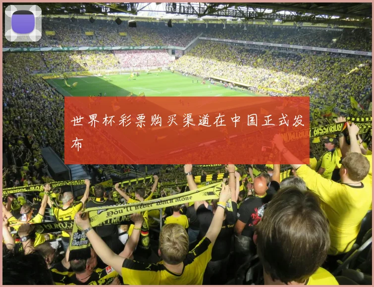世界杯彩票购买渠道在中国正式发布