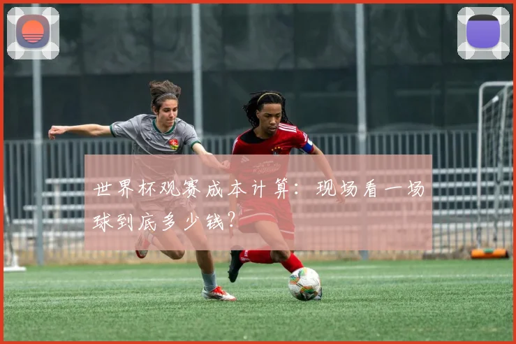 世界杯观赛成本计算:现场看一场球到底多少钱?