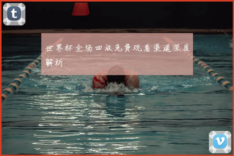 世界杯全场回放免费观看渠道深度解析