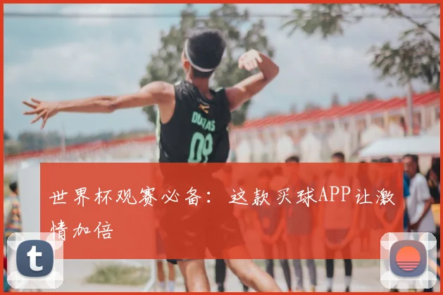 世界杯观赛必备：这款买球APP让激情加倍