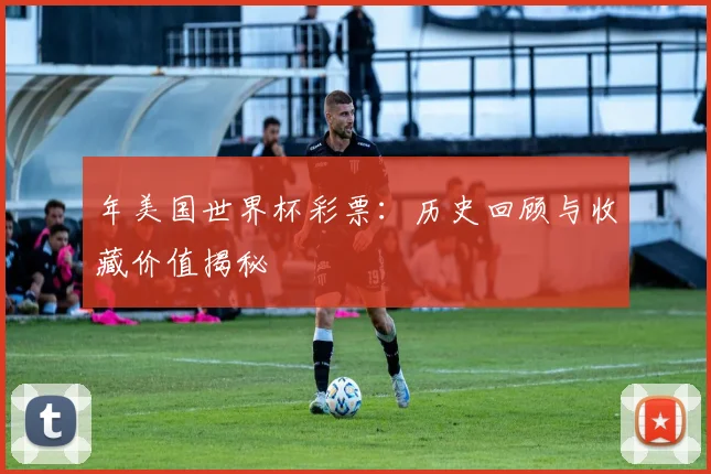 年美国世界杯彩票：历史回顾与收藏价值揭秘